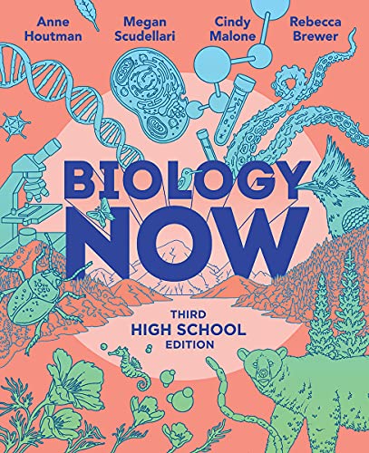Stock image for Biology Now for sale by GF Books, Inc.