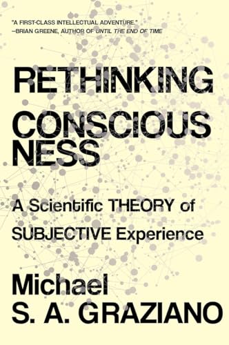 Stock image for Rethinking Consciousness: A Scientific Theory of Subjective Experience for sale by Brook Bookstore