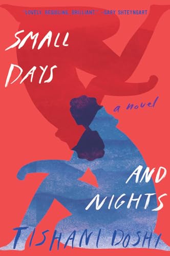 Stock image for Small Days and Nights: A Novel for sale by -OnTimeBooks-