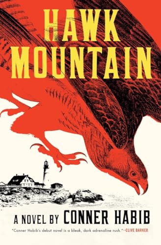 9780393542172: Hawk Mountain - A Novel