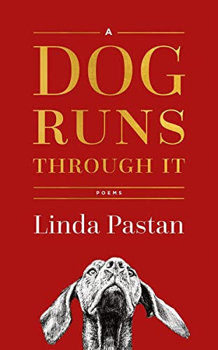 Imagen de archivo de A Dog Runs Through It: Poems a la venta por SecondSale