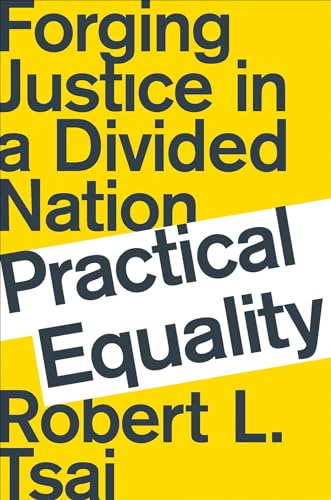 Imagen de archivo de Practical Equality : Forging Justice in a Divided Nation a la venta por Better World Books