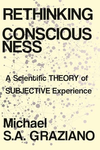 Stock image for Rethinking Consciousness: A Scientific Theory of Subjective Experience for sale by SecondSale