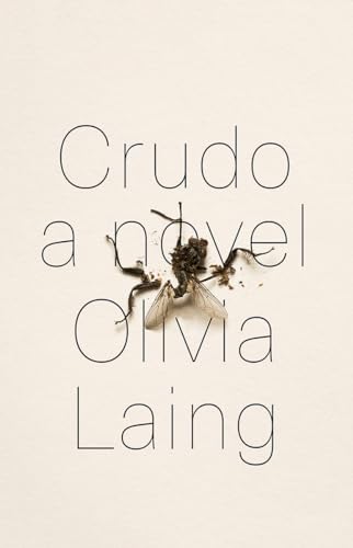 Stock image for Crudo: A Novel for sale by Louislibrary