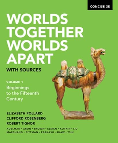 9780393668544: Worlds Together, Worlds Apart with Sources