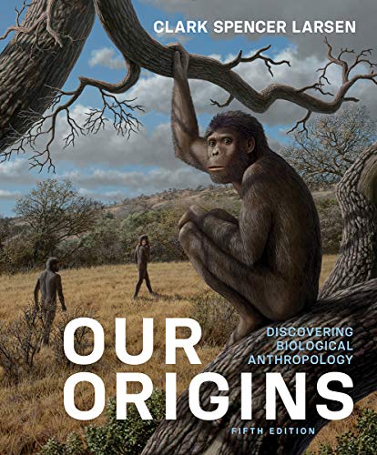 Beispielbild fr Our Origins : Discovering Biological Anthropology zum Verkauf von Better World Books