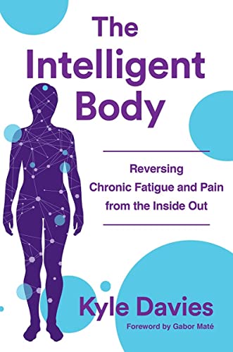 9780393712056: The Intelligent Body: Reversing Chronic Fatigue and Pain from the Inside Out