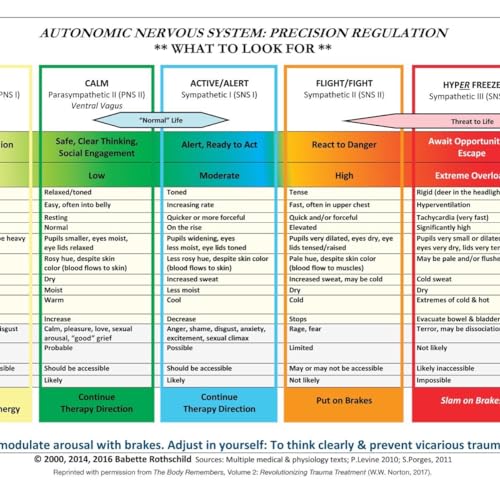 Stock image for Autonomic Nervous System Table: Laminated Card for sale by HPB-Red