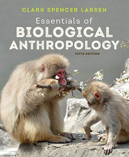 Beispielbild fr Essentials of Biological Anthropology zum Verkauf von BooksRun