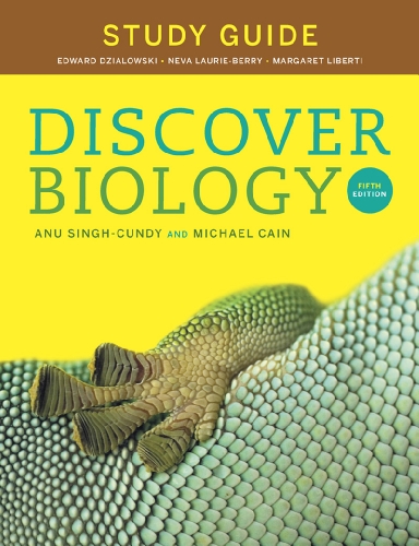 Beispielbild fr Study Guide for Discover Biology zum Verkauf von Ergodebooks