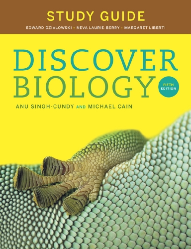 Imagen de archivo de Study Guide for Discover Biology a la venta por Ergodebooks