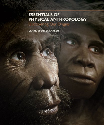 Beispielbild fr Essentials of Physical Anthropology : Discovering Our Origins zum Verkauf von Better World Books: West