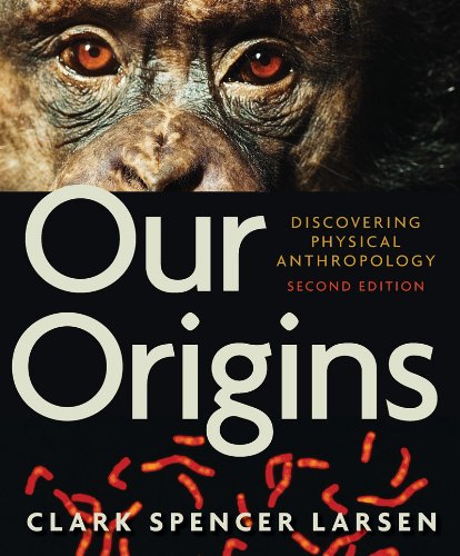 Beispielbild fr Our Origins: Discovering Physical Anthropology (Second Edition) zum Verkauf von Ergodebooks