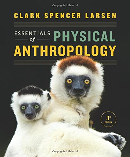 Stock image for Essentials of Physical Anthropology : Discovering Our Origins for sale by Better World Books: West