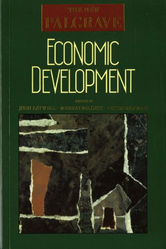 9780393958508: Economic Development (NEW PALGRAVE (SERIES))