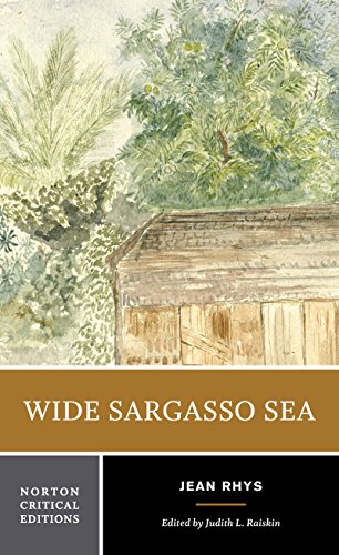 9780393960129: WIDE SARGASSO SEA - UNED: Backgrounds, Criticism: 0 (CRITICA)