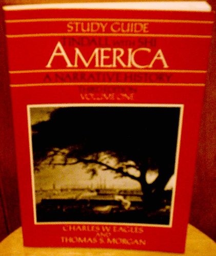 Stock image for America a Narrative History (Regular) for sale by Half Price Books Inc.