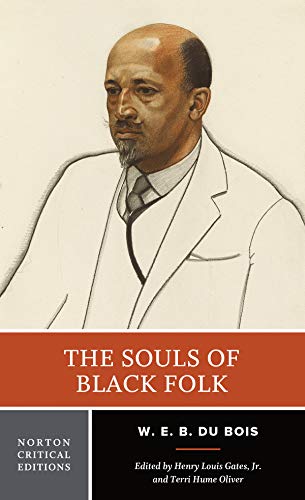 Stock image for The Souls of Black Folk, A Norton Critical Edition for sale by Ergodebooks