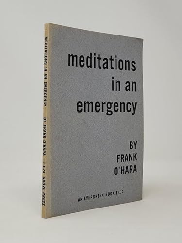9780394173436: Meditations in an Emergency