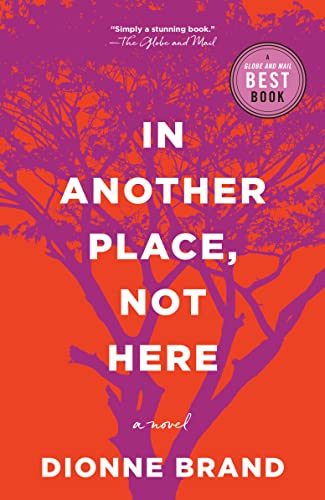 Imagen de archivo de In Another Place, Not Here a la venta por ThriftBooks-Atlanta