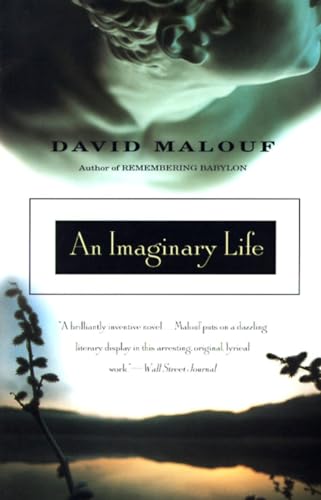 Beispielbild fr An Imaginary Life zum Verkauf von BISON BOOKS - ABAC/ILAB