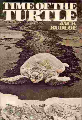 Imagen de archivo de Time of the Turtle a la venta por Z & Z Books