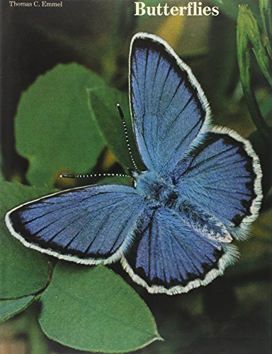 Imagen de archivo de Butterflies, their world, their life cycle, their behavior a la venta por Wonder Book