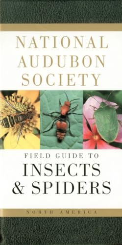 The Audubon Society Field Guide to North American Insects and Spiders - Milne, L. and Milne, M.
