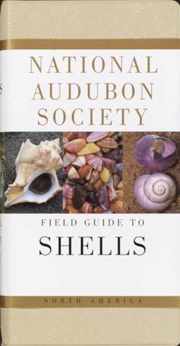 Stock image for National Audubon Society Field Guide to North American Seashells for sale by Sequitur Books