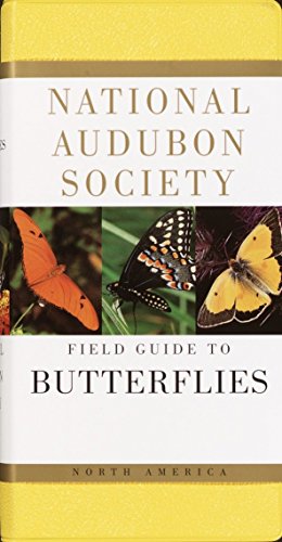Beispielbild fr The National Audubon Society Field Guide to North American Butterflies zum Verkauf von Wonder Book