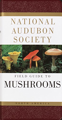 National Audubon Society Field guide to Mushrooms, North America