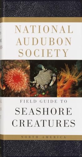 Beispielbild fr NATIONAL AUDUBON SOCIETY FIELD GUIDE TO NORTH AMERICAN SEASHORE CREATURES (The Audubon Field Guide Series) zum Verkauf von 100POCKETS