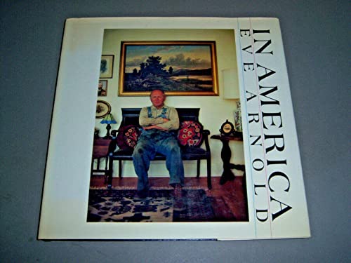 Imagen de archivo de In America a la venta por Jenson Books Inc