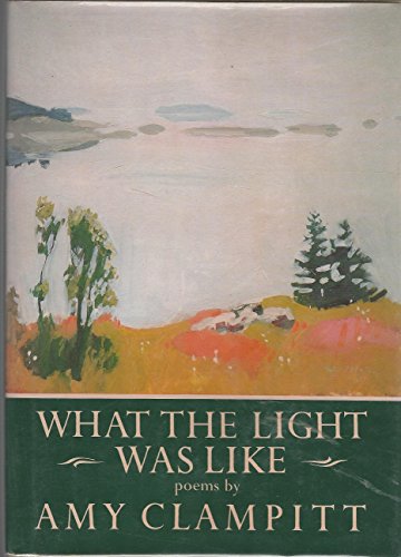 9780394543185: What the Light Was Like (Knopf Poetry Series, 18)