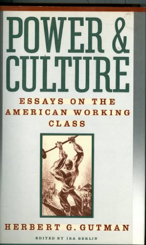 Stock image for POWER & CULTURE: ESSAYS ON THE AMERICAN WORKING CLASS for sale by WONDERFUL BOOKS BY MAIL