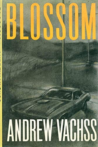 Stock image for Blossom (A Novel) for sale by Gil's Book Loft