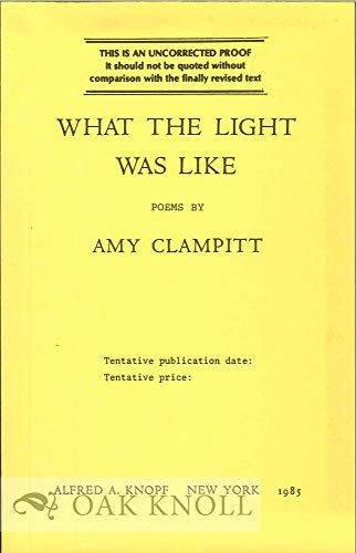 Beispielbild fr What the Light Was Like zum Verkauf von Better World Books