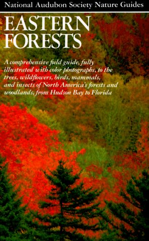 Beispielbild fr Eastern Forests (Audubon Society Nature Guides) zum Verkauf von Better World Books