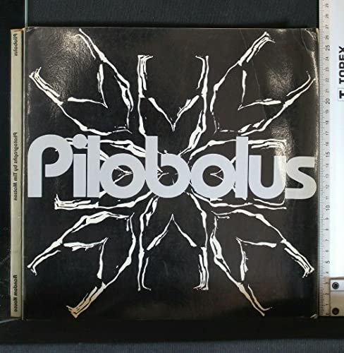 Stock image for Pilobolus for sale by The Second Reader Bookshop