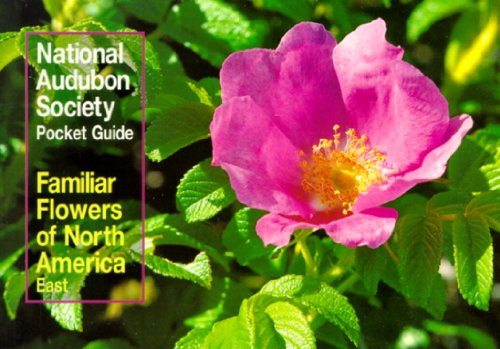 Stock image for The Audubon Society Pocket Guides; Familiar Flowers of North America for sale by Mycroft's Books