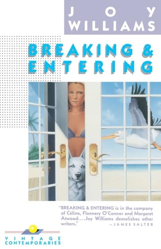 9780394757735: Breaking and Entering (Vintage Contemporaries)