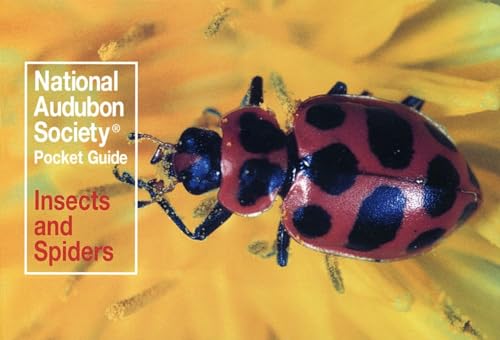 Imagen de archivo de National Audubon Society Pocket Guide: Insects and Spiders (National Audubon Society Pocket Guides) a la venta por Jenson Books Inc