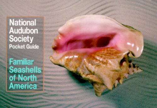 Stock image for National Audubon Society Pocket Guide to Familiar Seashells (Audubon Society Pocket Guides) for sale by SecondSale