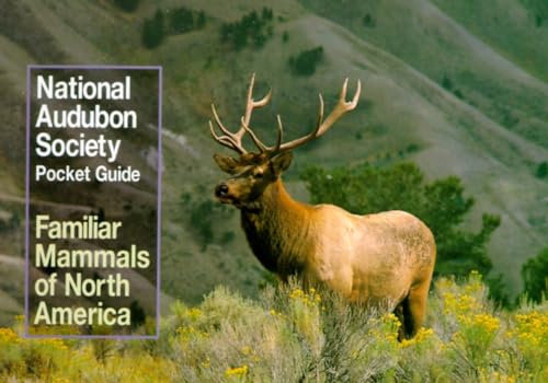 Beispielbild fr National Audubon Society Pocket Guide to Familiar Mammals (National Audubon Society Pocket Guides) zum Verkauf von Jenson Books Inc