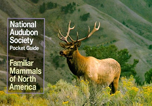 National Audubon Society Pocket Guide to Familiar Mammals - National Audubon Society