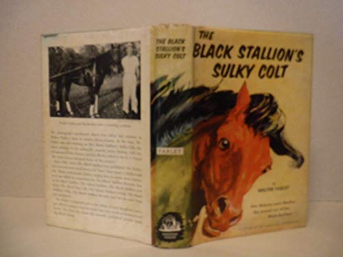 9780394806105: The black stallion's sulky colt;