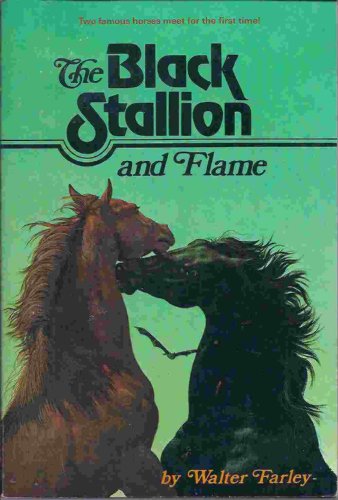 Image result for the black stallion and flame