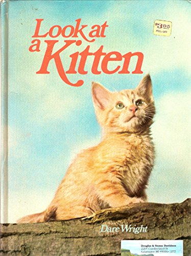 Imagen de archivo de Look at a kitten a la venta por HPB-Ruby
