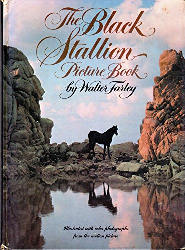 Imagen de archivo de The Black Stallion Picture Book (Illustrated with Color Photographs From The Motion Picture) a la venta por Jenson Books Inc