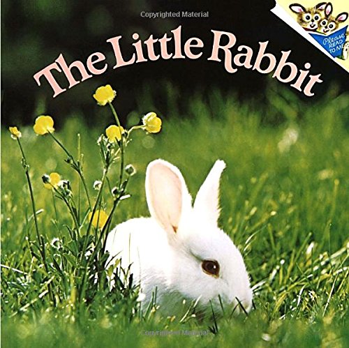 9780394843773: The Little Rabbit (Picturebacks S.)